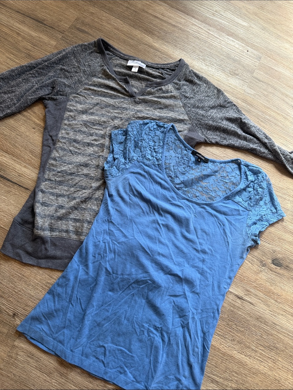 Blue Lace and Raglan Sleeve Women's Tops